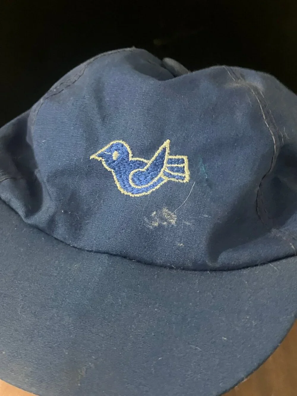 Flawed! Vintage Kids Camp Fire Girls / Blue Birds Ball Cap Hat 1960s